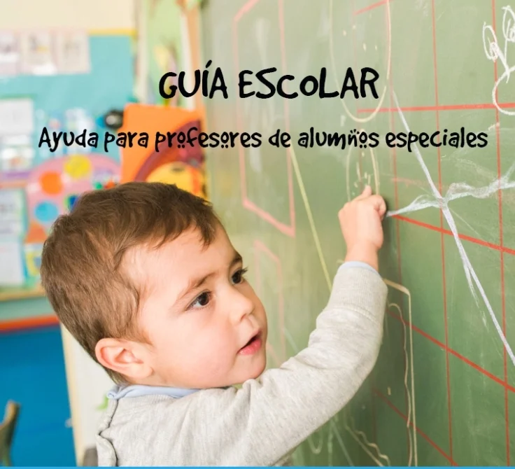 Descarga la guía de ayuda para centros escolares con alumnos NUPA